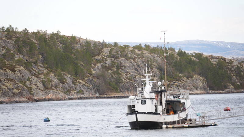 dsc08001-standard-9msqs0.jpg