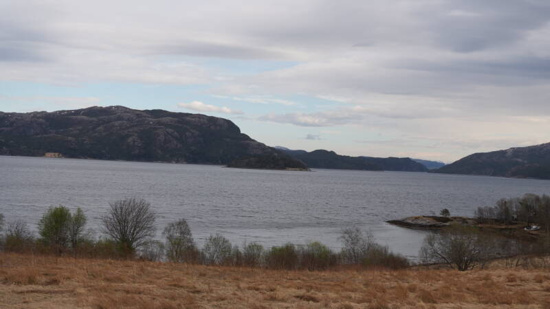 dsc08003-standard.jpg