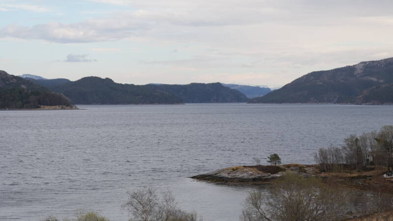 dsc08005-standard-aa5dms.jpg