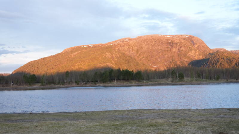 dsc08007-standard-p1cuic.jpg