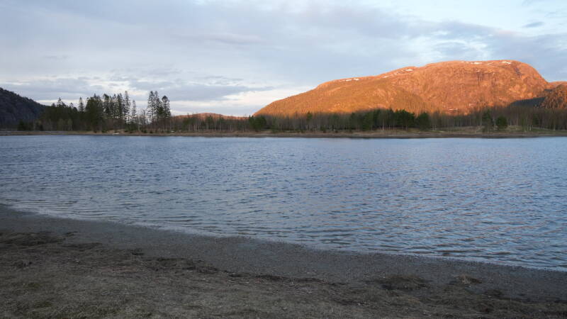 dsc08009-standard-jyd1fb.jpg