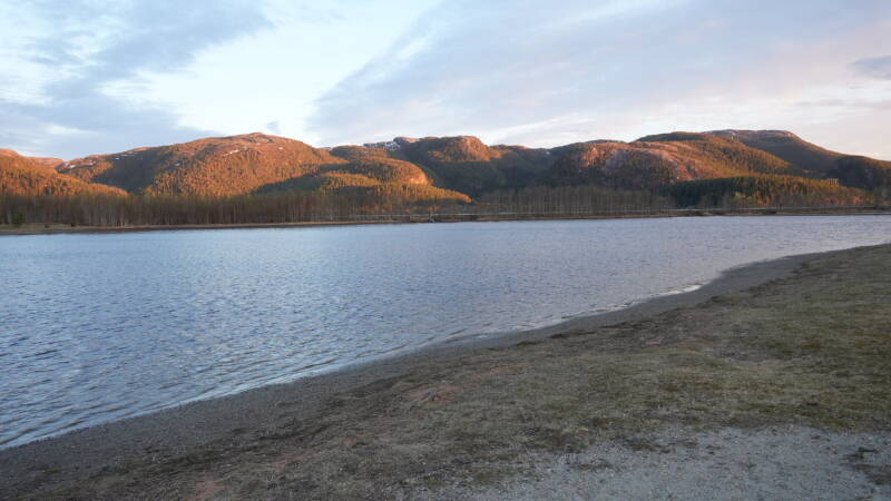 dsc08010-standard.jpg