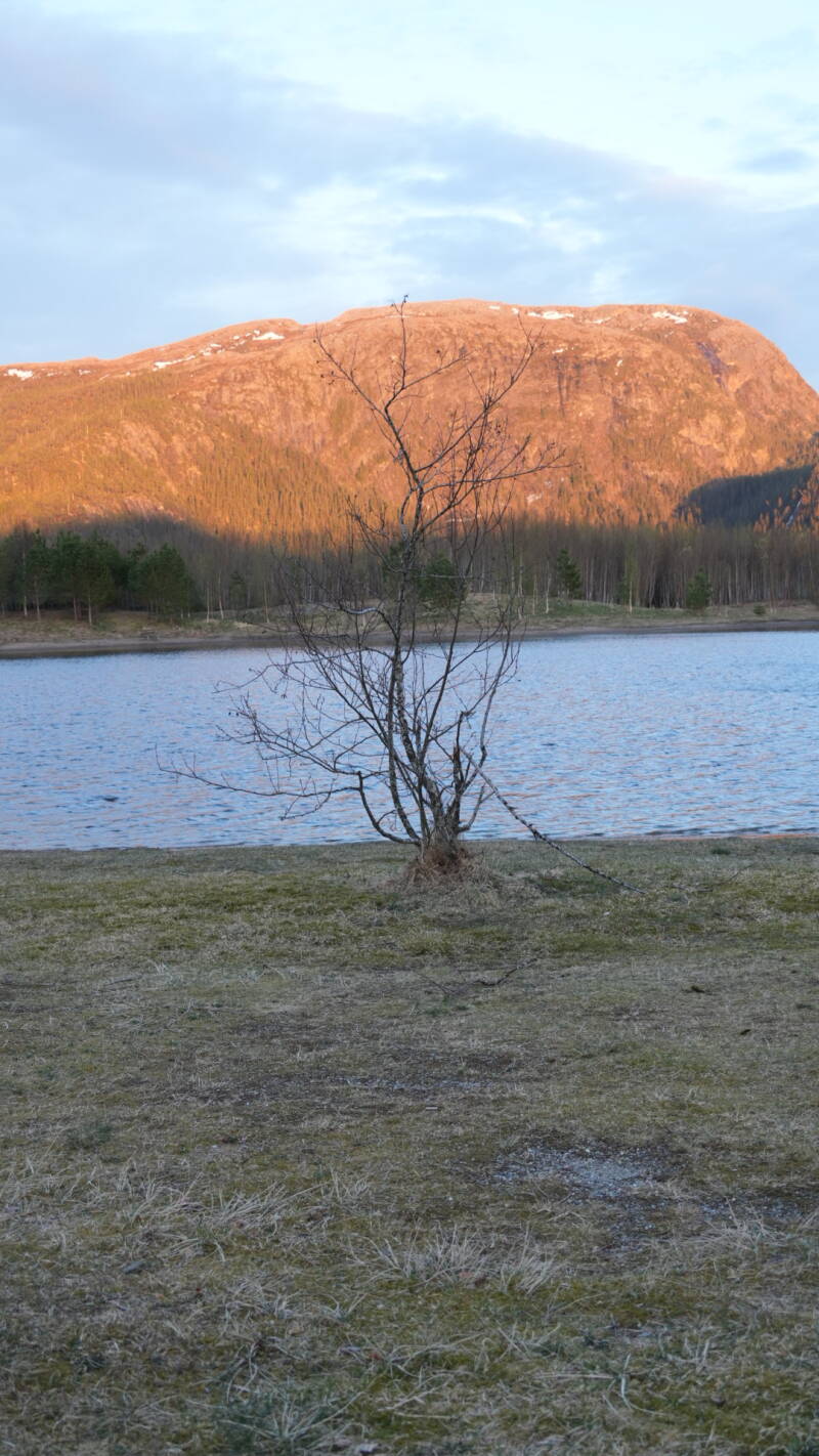 dsc08014-standard-web9h2.jpg