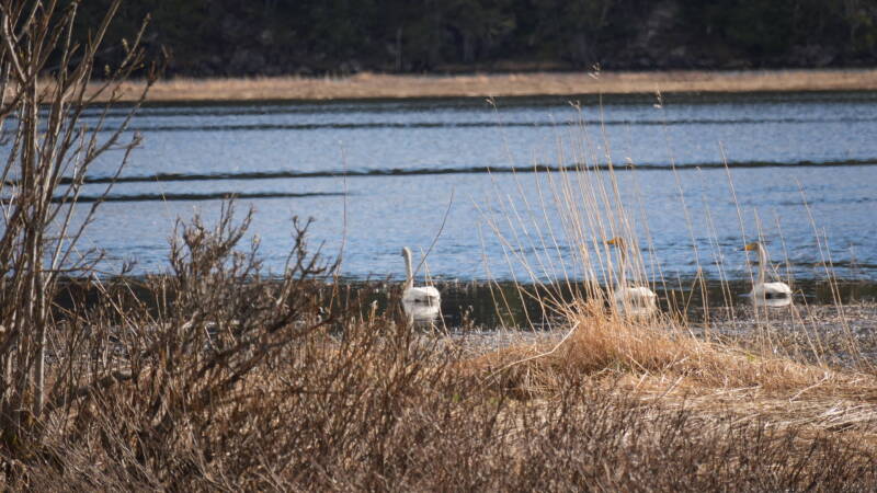 dsc08037-standard-6j0br1.jpg