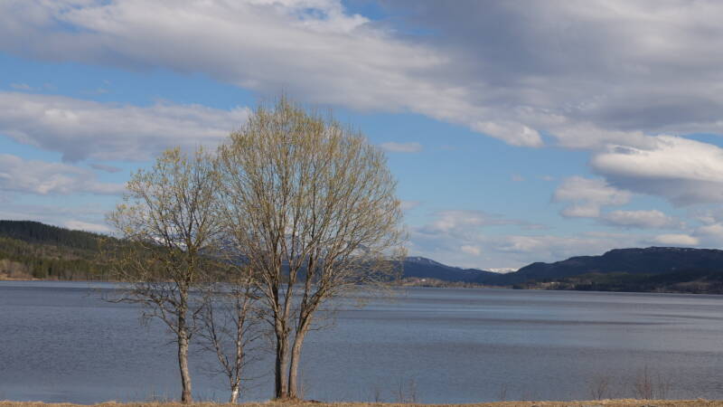 dsc08046-standard-phwed7.jpg