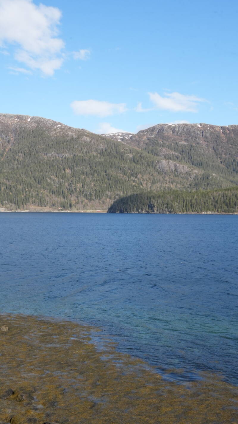 dsc08055-standard-rn9xu2.jpg