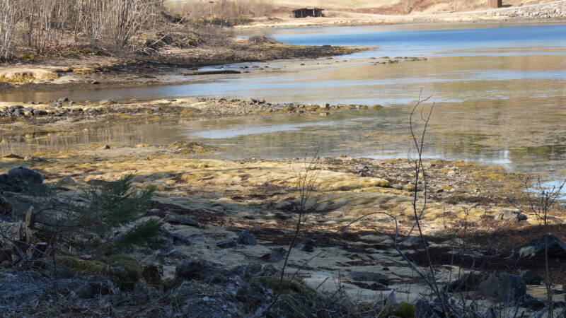 dsc08060-standard.jpg