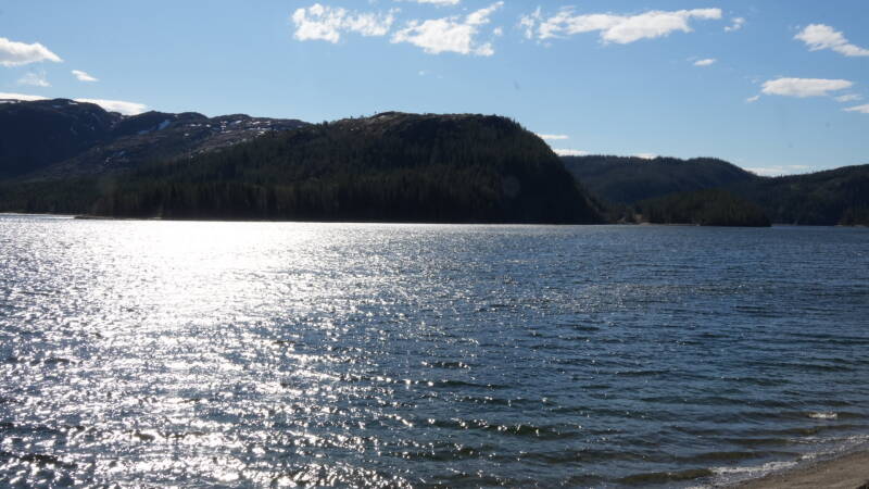 dsc08061-standard.jpg