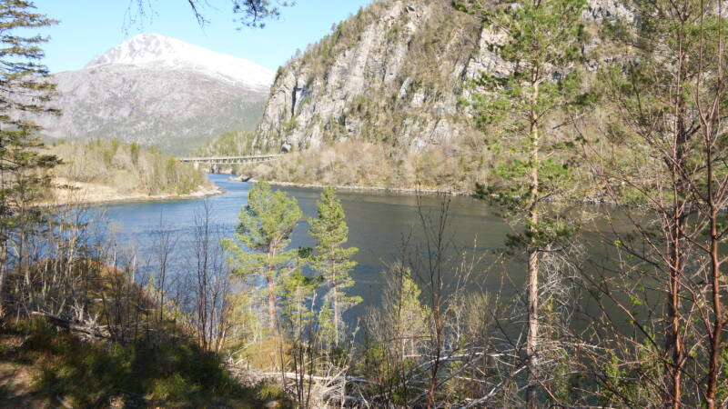 dsc08084-standard.jpg