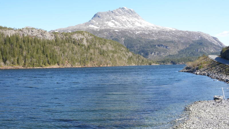 dsc08087-standard.jpg
