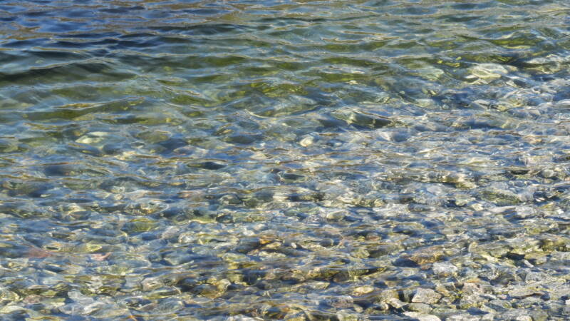 dsc08088-standard.jpg