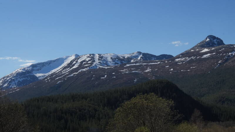 dsc08101-standard.jpg