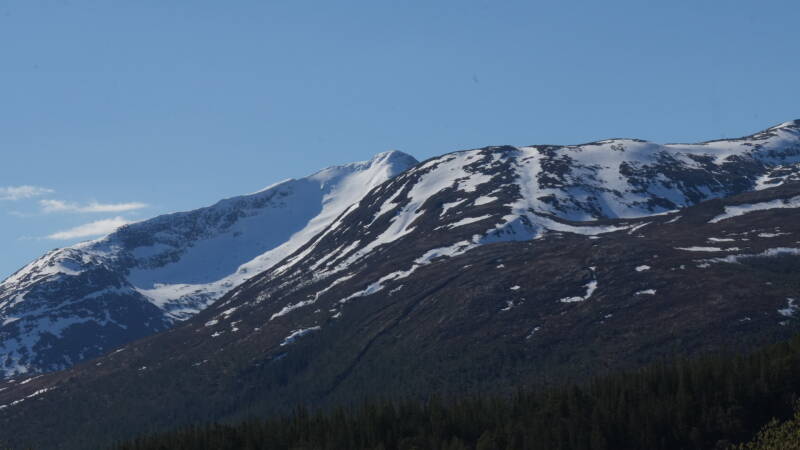 dsc08102-standard.jpg