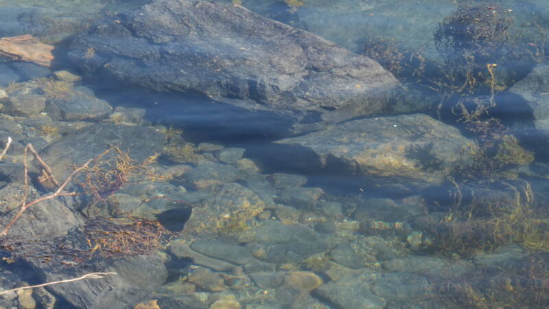 dsc08104-standard.jpg