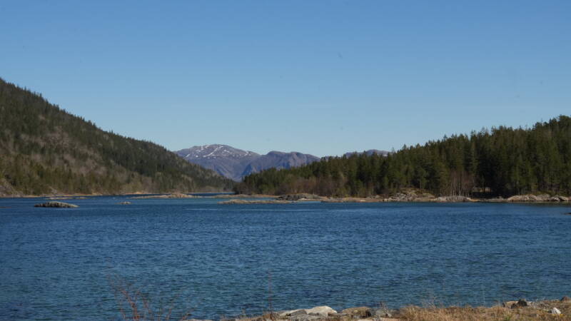 dsc08109-standard.jpg