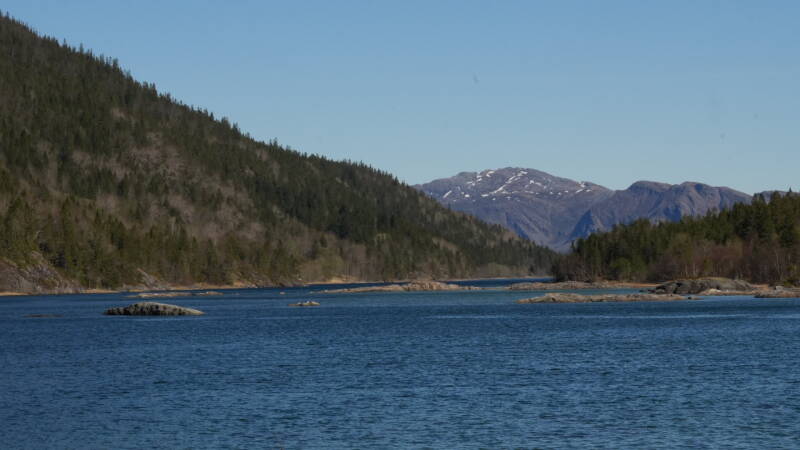 dsc08111-standard.jpg