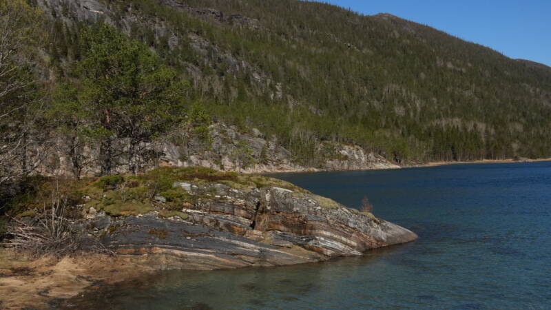 dsc08114-standard.jpg