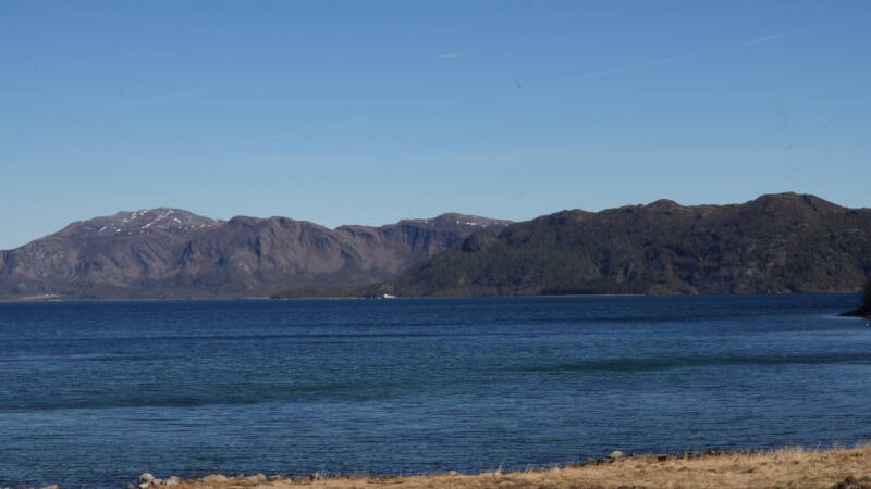 dsc08136-standard.jpg