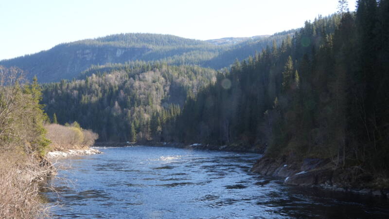 dsc08171-standard-lq7bjn.jpg