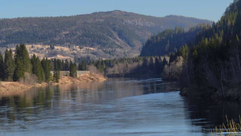 dsc08174-standard-g22lxo.jpg