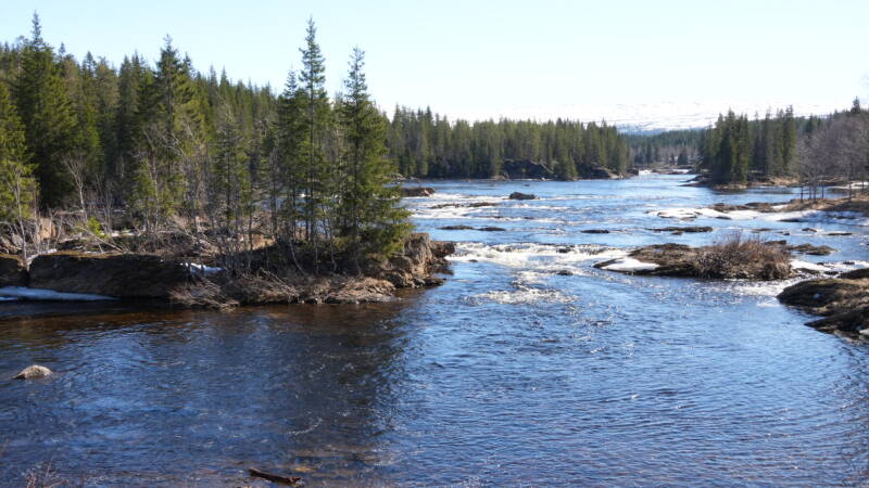 dsc08175-standard-inqj4t.jpg