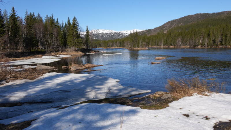 dsc08182-standard-8akq1l.jpg