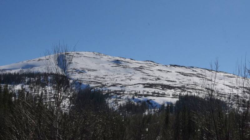dsc08201-standard.jpg