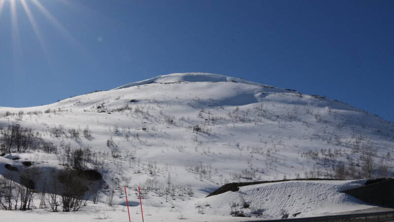 dsc08202-standard-m86rys.jpg