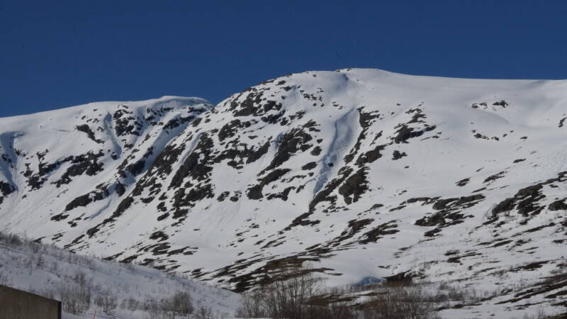 dsc08203-standard-6s9n4c.jpg