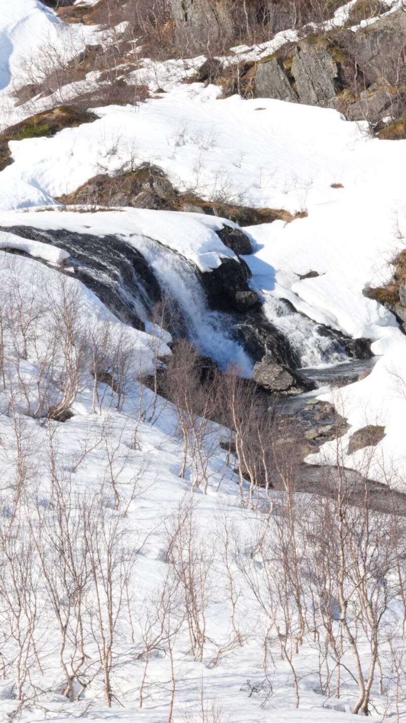 dsc08208-standard-xyyaty.jpg