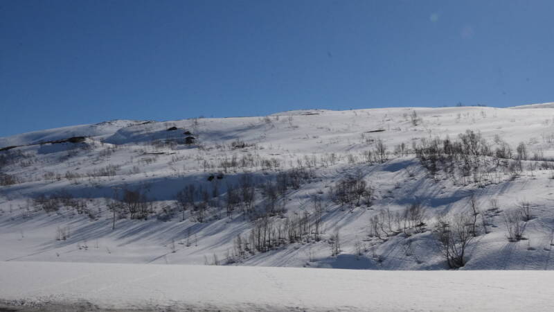 dsc08210-standard.jpg