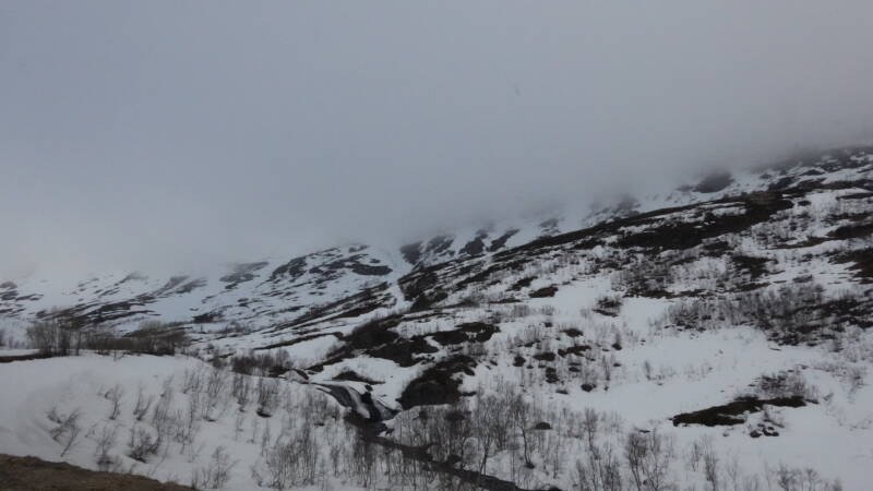 dsc08231-standard-61dp5q.jpg