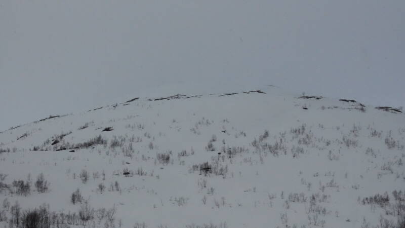 dsc08233-standard.jpg