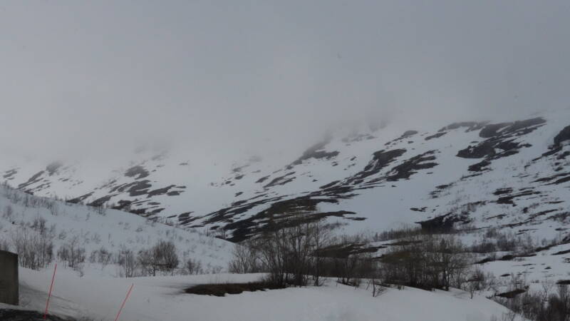 dsc08237-standard-uj8brz.jpg