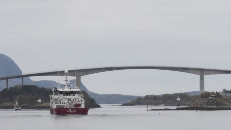 dsc08250-standard.jpg