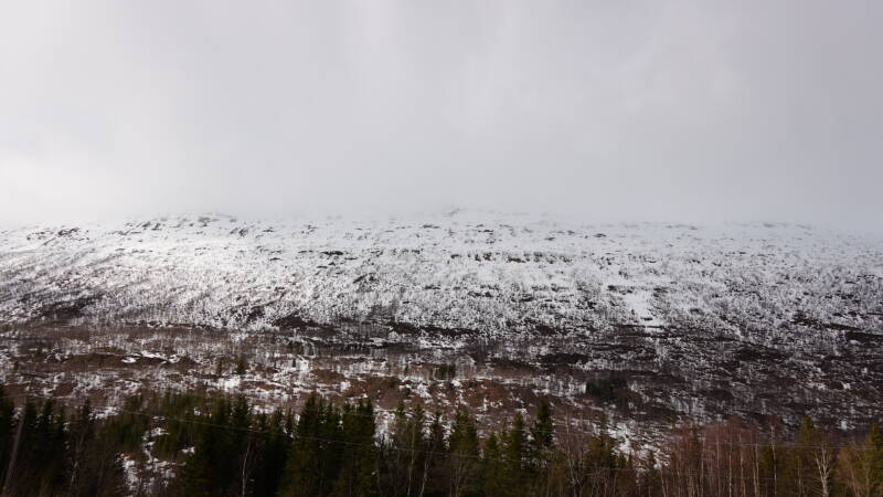 dsc08304-standard.jpg