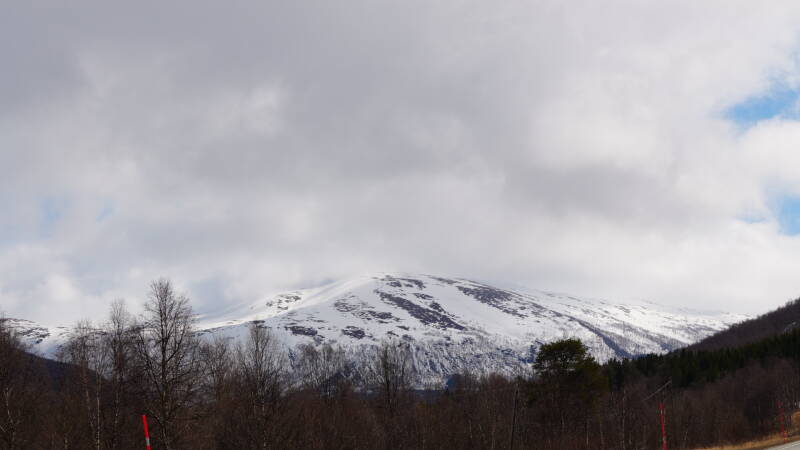 dsc08305-standard-y9yg4q.jpg