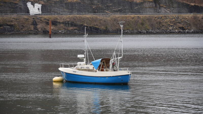 dsc08343-standard.jpg