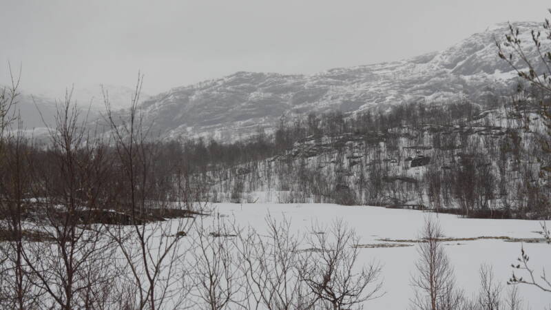 dsc08354-standard-nyeow1.jpg