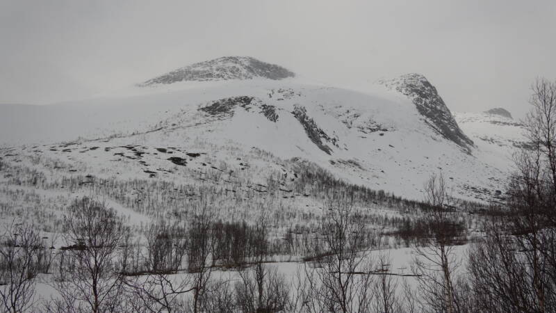 dsc08359-standard-9tcw24.jpg