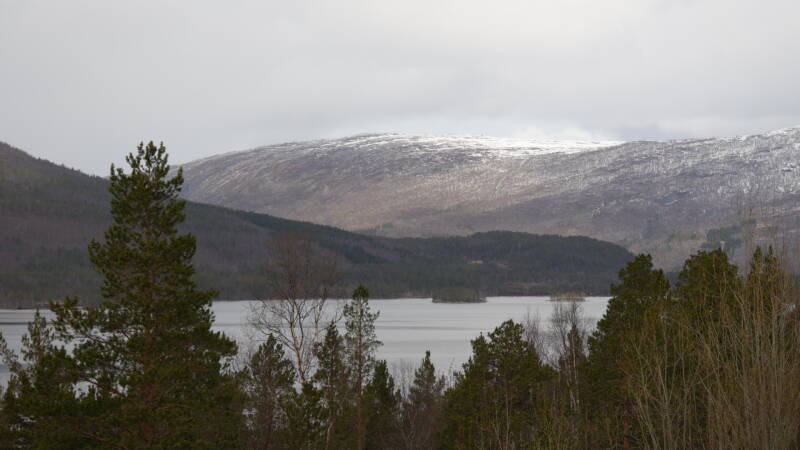dsc08375-standard.jpg