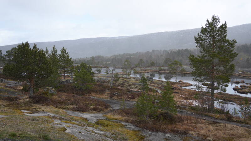 dsc08376-standard-4adlsi.jpg