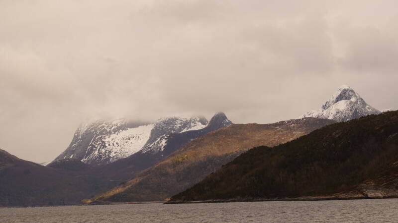 dsc08431-standard-qhb4vr.jpg