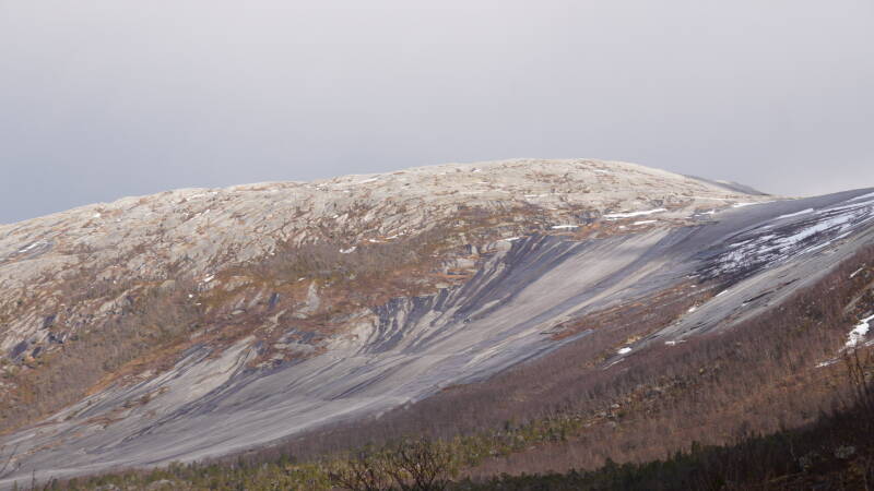 dsc08460-standard-em56l5.jpg