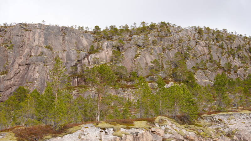 dsc08469-standard.jpg