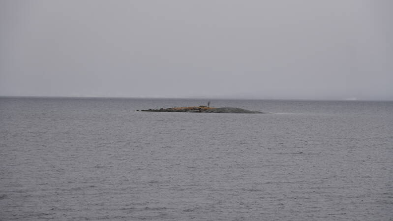 dsc08532-standard.jpg