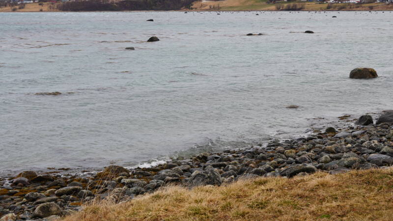 dsc08543-standard.jpg