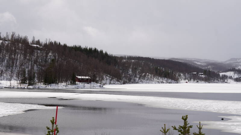 dsc08555-standard.jpg