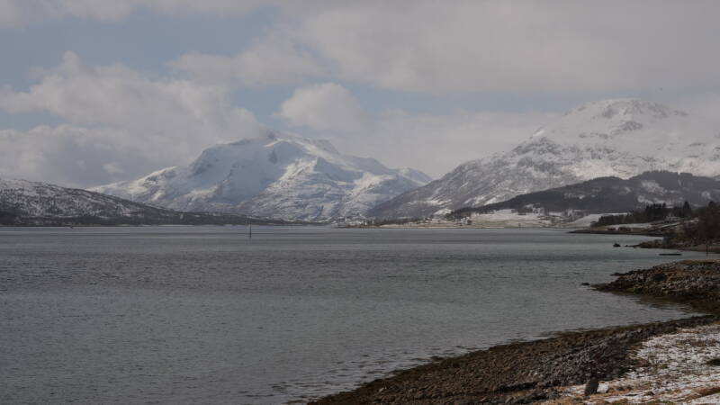 dsc08576-standard.jpg
