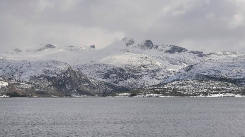 dsc08582-standard.jpg